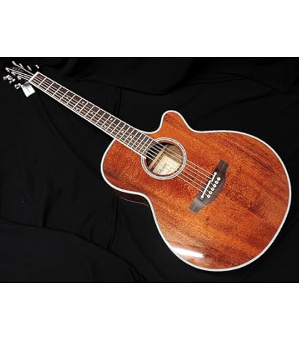Amazon | Takamine PTU121C GBB エレアコギター 100シリーズ (タカミネ